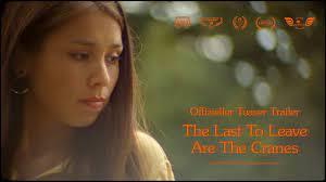 The last to leave are the cranes – Dreharbeiten