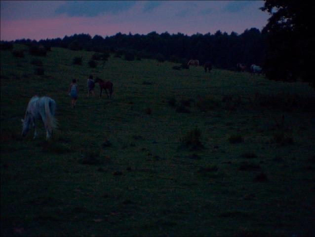 Miniatur The last to leave are the cranes – Szene